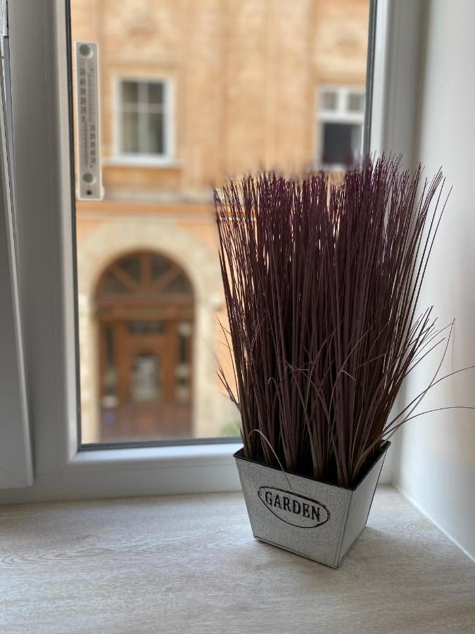 Homelike Apartment Lviv Eksteriør bilde