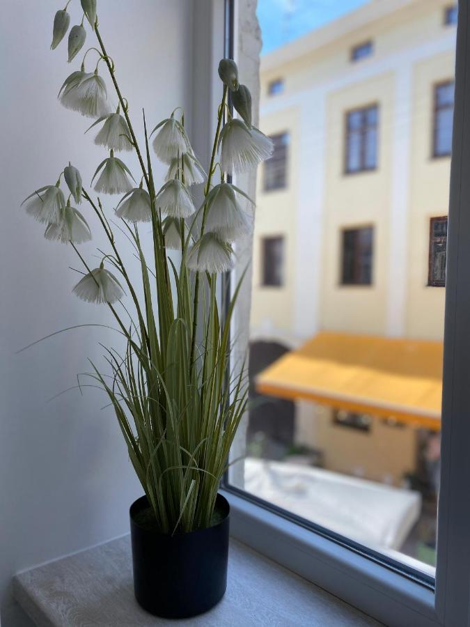 Homelike Apartment Lviv Eksteriør bilde